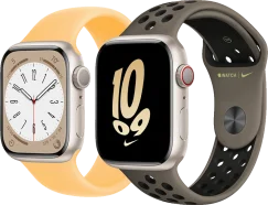 Apple Watch Tamiri